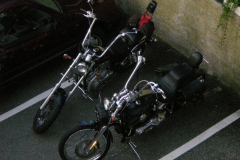 2010DSCN0246