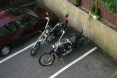 2010DSCN0247