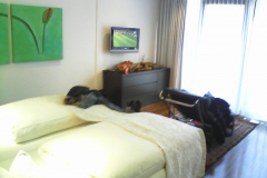 2011IMG_20110702_195933
