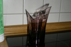 DSCN0307