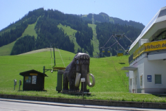 DSCN0311