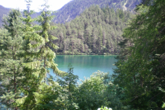 DSCN0315