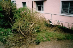 Umgebung_01