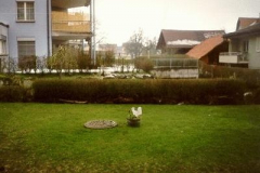 Umgebung_02