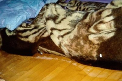 WohnungRoger_01