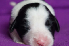 1Woche_08