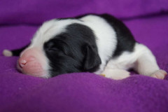 1Woche_12