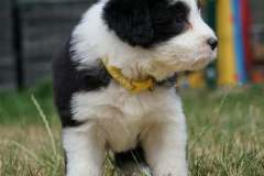 5Wochen_09