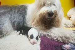IMG-20180131-WA0000