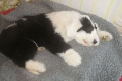IMG-20180314-WA0000