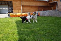 IMG-20180410-WA0000