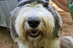 IMG-20200613-WA0002