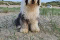 IMG-20200615-WA0022