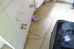 Bad_Bau_00