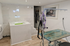 Hundesalon_Neu_01