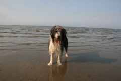 urlaub-2015-ostsee-012
